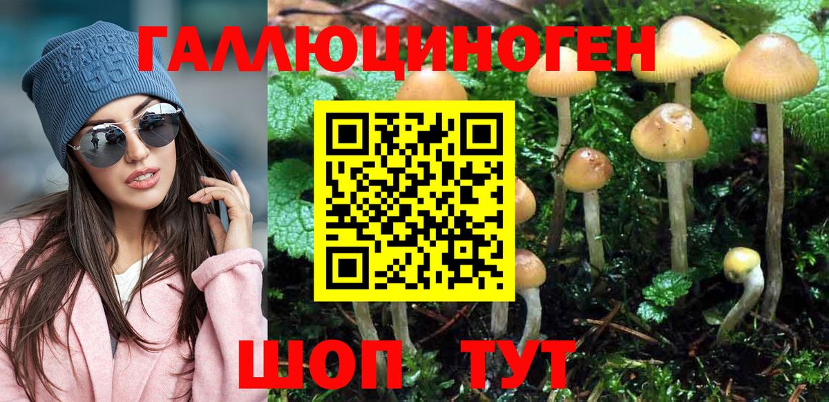 Галлюциногенные грибы Psilocybine cubensis  Вход с VPN  Кандалакша 
