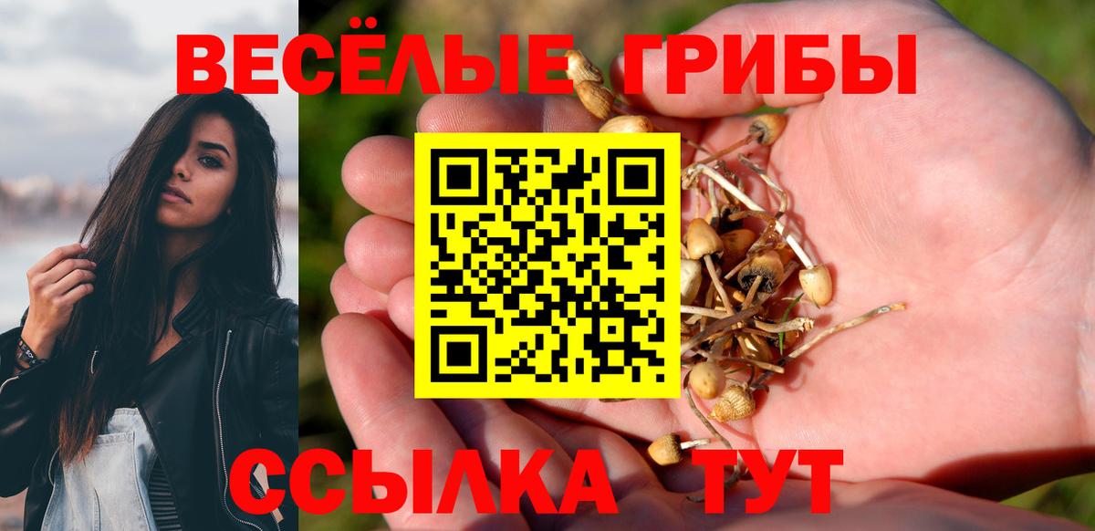 Псилоцибиновые грибы Magic Shrooms Кандалакша